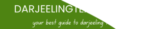 darjeelingtea101 logo
