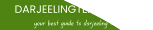 darjeelingtea101 logo